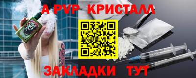 спайс Кингисепп